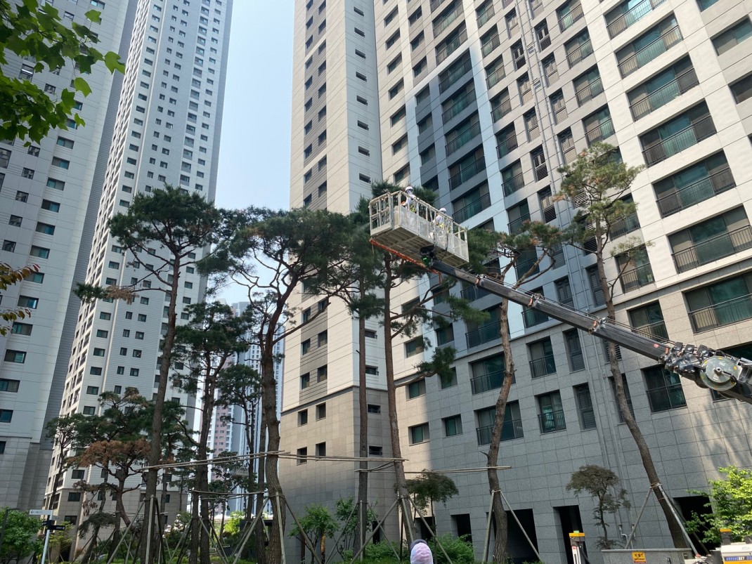 조경 식재(공사)